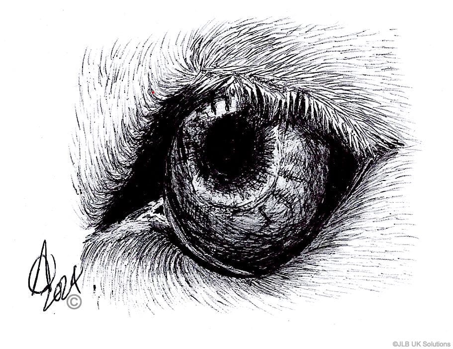 CLOSE-UP-WOLFS-EYE_7