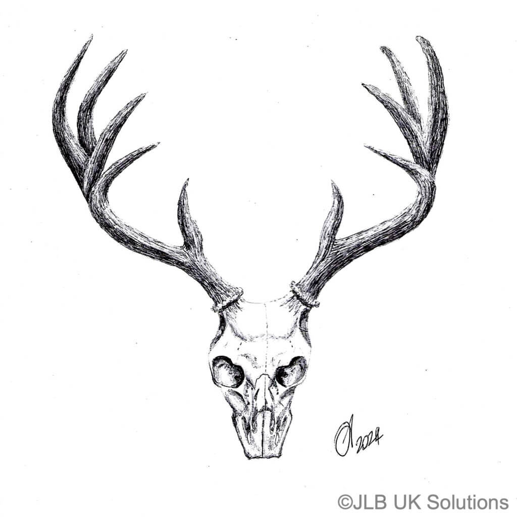 Deers-Skull-1024x1024