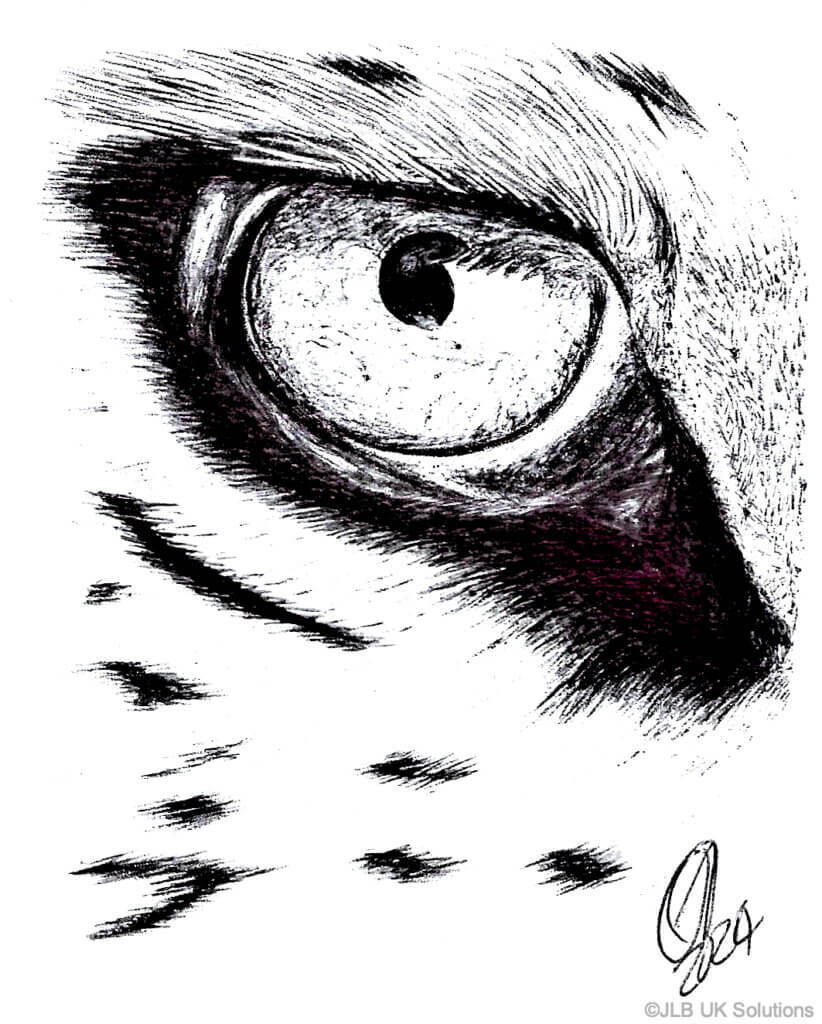 Leopards-Eye-822x1024