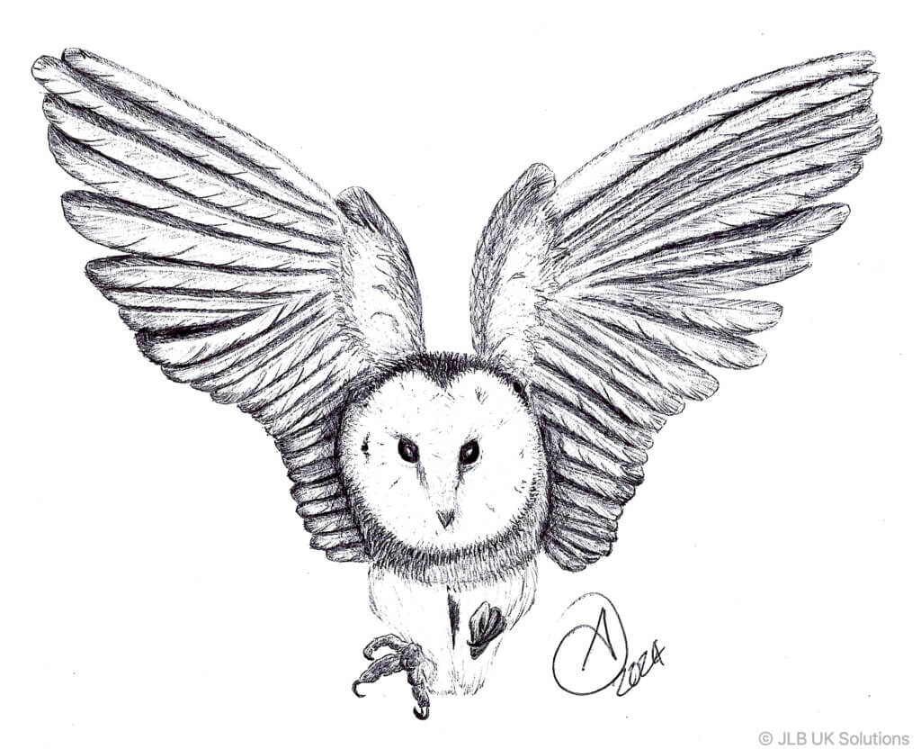 Owl-1024x832