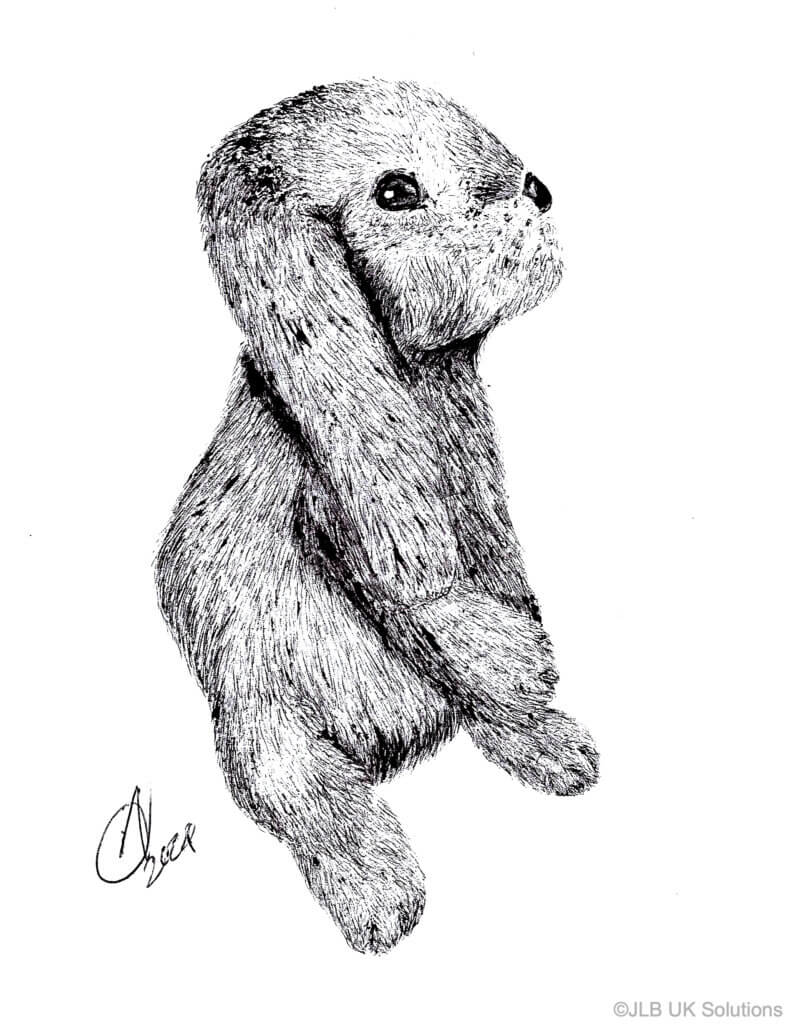 Rabbit--791x1024