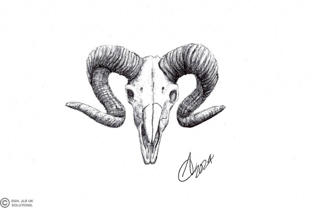 Rams-Skull-1024x683
