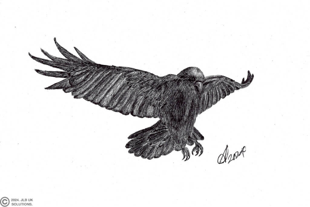 coming-in-to-land--1024x683