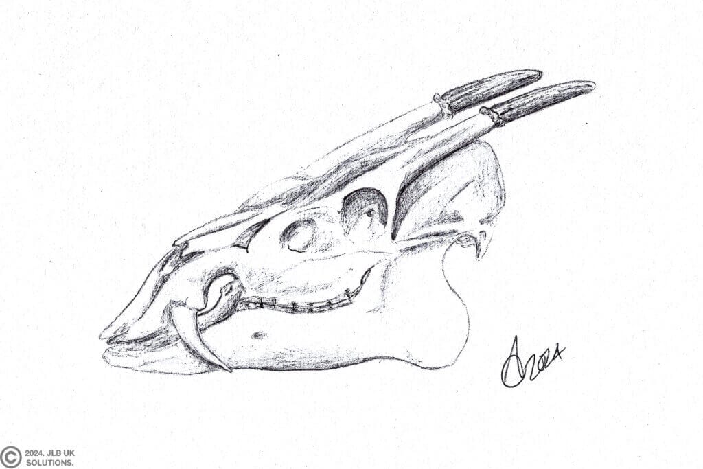 sheep-skull--1024x683